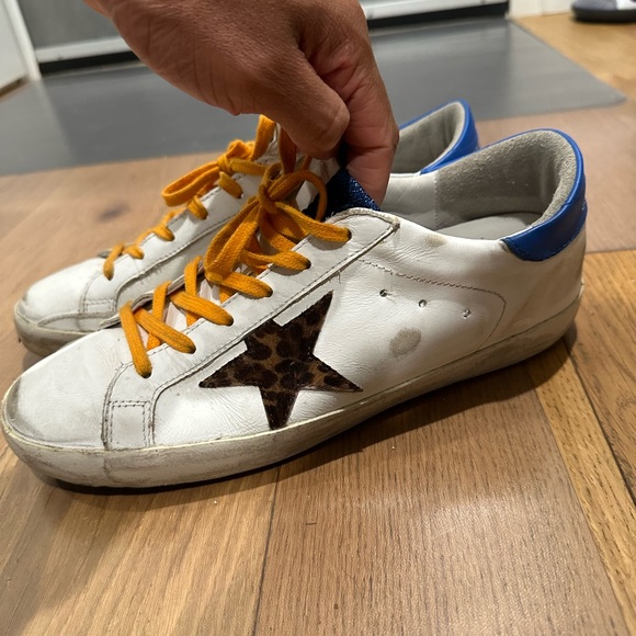 Golden goose - Picture 4 of 5